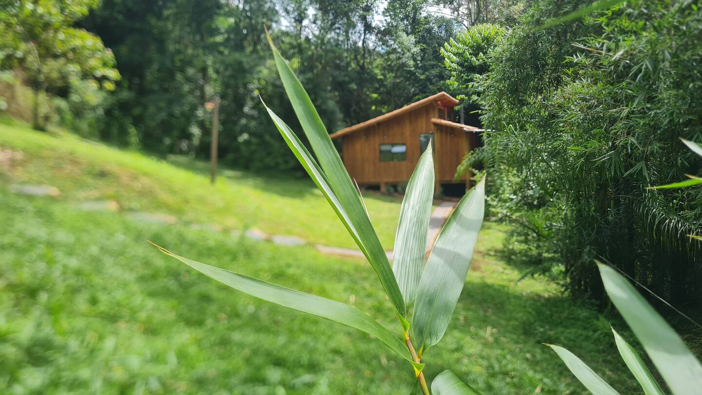 cabana na floresta tetsu