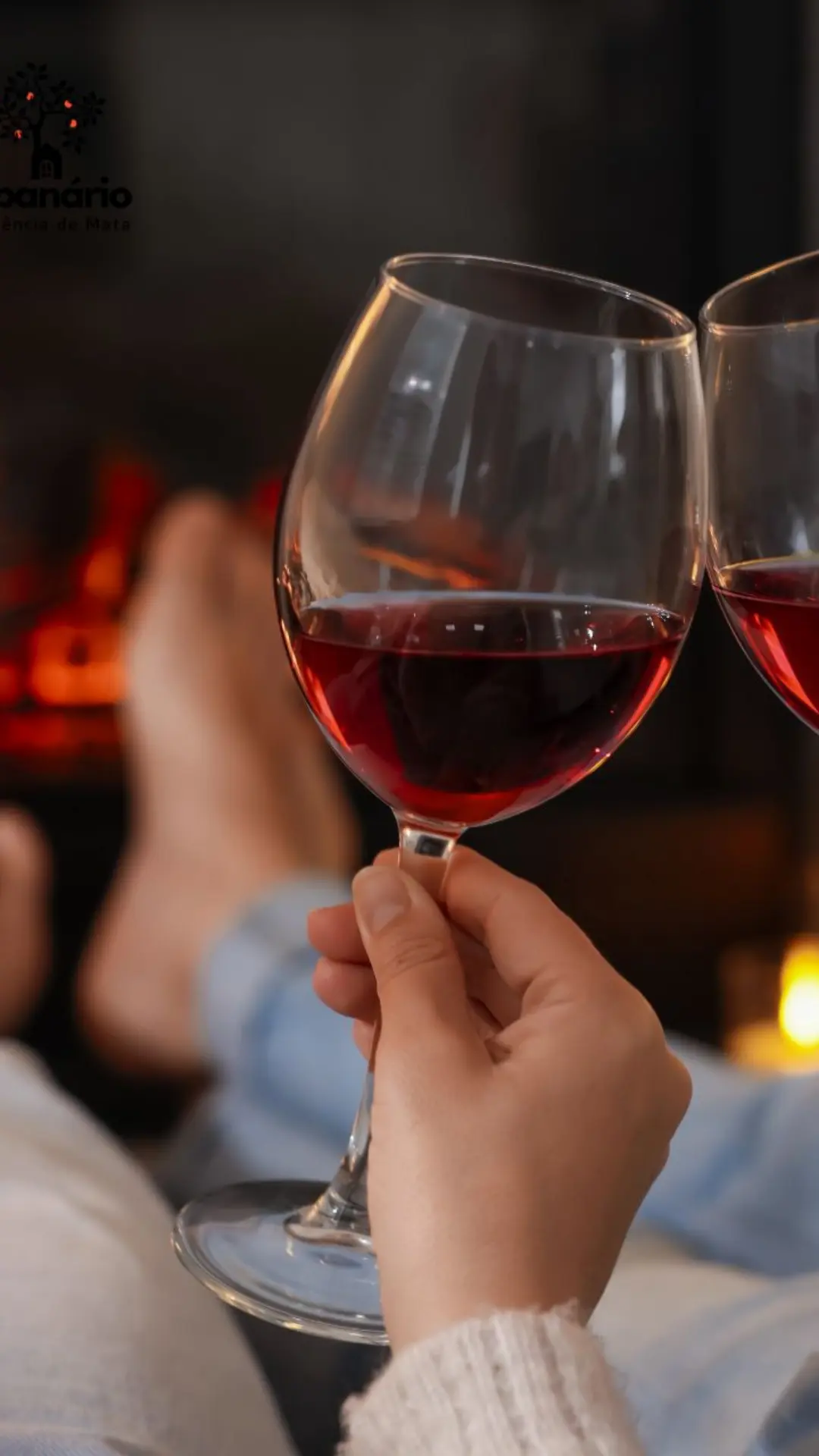 Casal com taças de vinho em frente a lareira em cabana de madeira