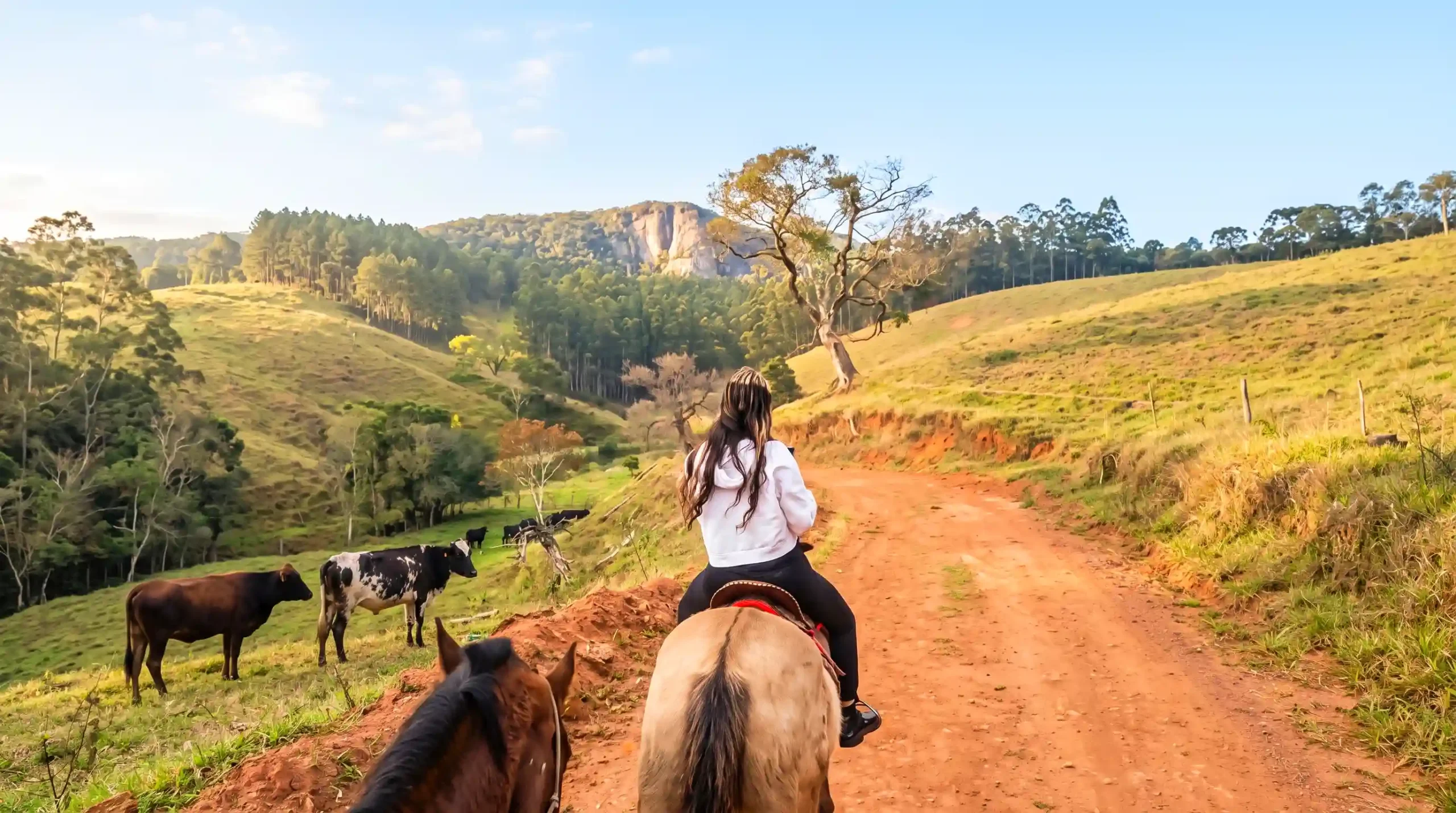 Paisagem das montanhas de Cunha com a Pedra Branca ao fundo